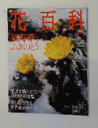 花百科　44　2005年1月