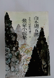 全集未収録作品集 13