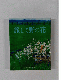 芦野千翠のつみ車アレジ　旅して野の花