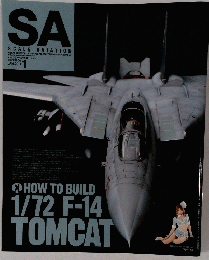 SCALE　AVIATION　２０１１年1月号