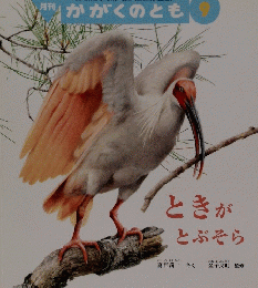かがくのとも 9　ときがとぶそら