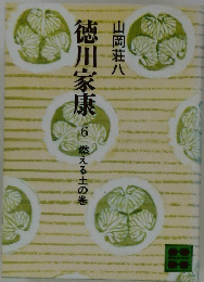 徳川家康 6 燃える士の巻