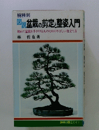 図説盆栽の剪定と整姿入門