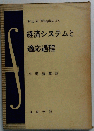 経済システムと 適応過程