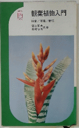 観葉植物入門
