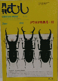 月刊むし 1998-6 クワガタ特集号・10