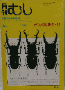 月刊むし 1998-6 クワガタ特集号・10
