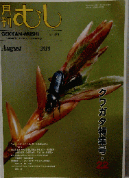 月刊 むし 2010-08　No.474