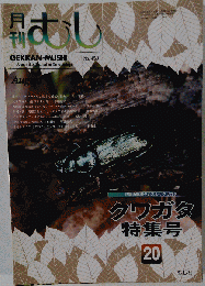 月刊 むし 2008-08　No.450