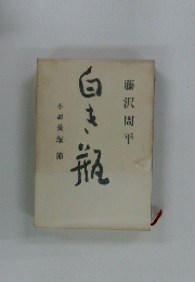 白き瓶　小説長塚節