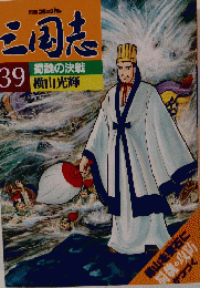 三国志 39 蜀魏の決戦