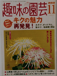 NHK趣味の園芸　2004年11月号