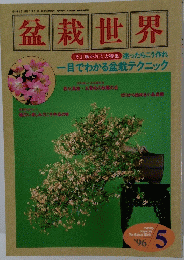 盆栽世界　１９９６年5月号