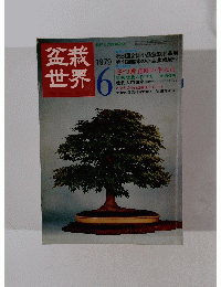 盆栽世界　１９７９年6月号
