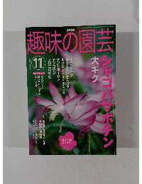 趣味の園芸　２００２年11月号