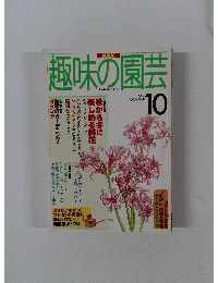 趣味の園芸　１９９７年10月号