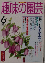 趣味の園芸　１９９７年6月号
