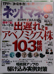 ネットマネー 2013年 05月号 [雑誌]