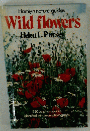 Wild Flowers