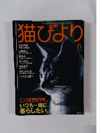 猫びより　2001年6月号
