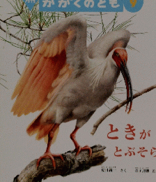 月刊 かがくのとも 9
