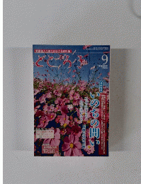 とどろき　2013年9月号