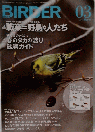 BIRDER　2014年3月号