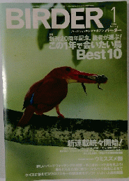 BIRDER 2006年1月号