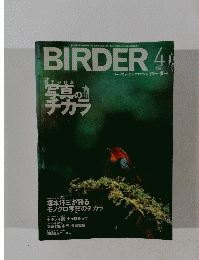 BIRDER　2007年4月号