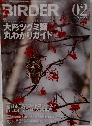 BIRDER　2015年2月号
