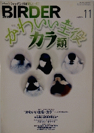 BIRDER　11月号