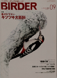 BIRDER　2008年9月号