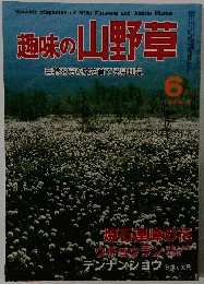 趣味の山野草　1984年6月号　No.47
