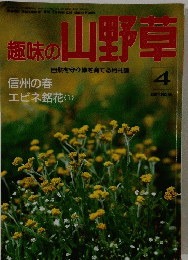 趣味の山野草　1994年4月号　
