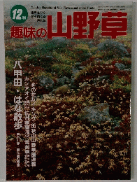 趣味の山野草　12