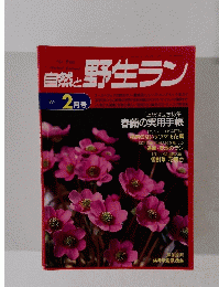 自然と野生ラン　1994年2月号