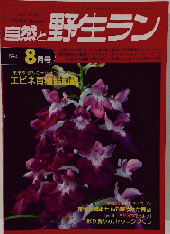 自然と野生ラン　1994年8月号