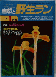 自然と野生ラン　1995年1月号