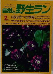 自然と野生ラン　1997年2月号