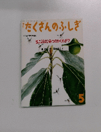 たくさんのふしぎ　1992年5月号　第86号