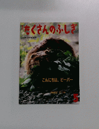 たくさんのふしぎ 2000年5月号 (第182号)