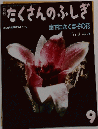 たくさんのふしぎ 2000年9月号 (第186号)