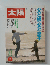 太陽　8号