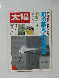 太陽　5　町の野鳥・町の野草