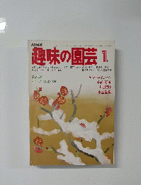 趣味の園芸　1月号