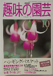 趣味の園芸　1999年10月号　ハンギングバスケット