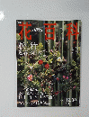 花百利 2004年12月30日号