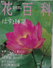 花百科　18　2004年7月1日号