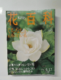 花百科　16　くちなしと 6月の白い花　2004年6/17号