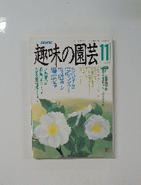 趣味の園芸　11月号